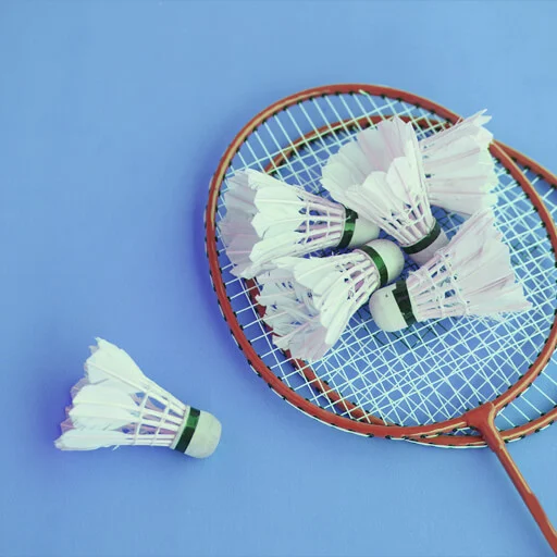 Badminton