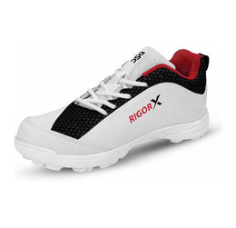 DSC Rigor X Cricket Shoes