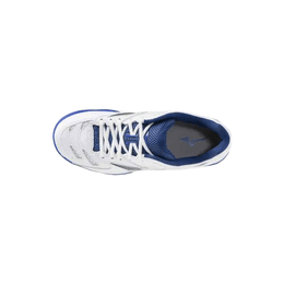 Mizuno Fang Pro Badminton Shoes