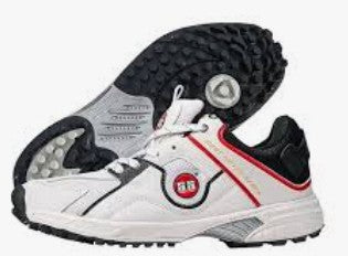 SS Gutsy Cricket Shoes